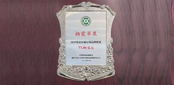77.06億元！“棲霞蘋(píng)果”品牌價(jià)值穩(wěn)居全國(guó)榜首！